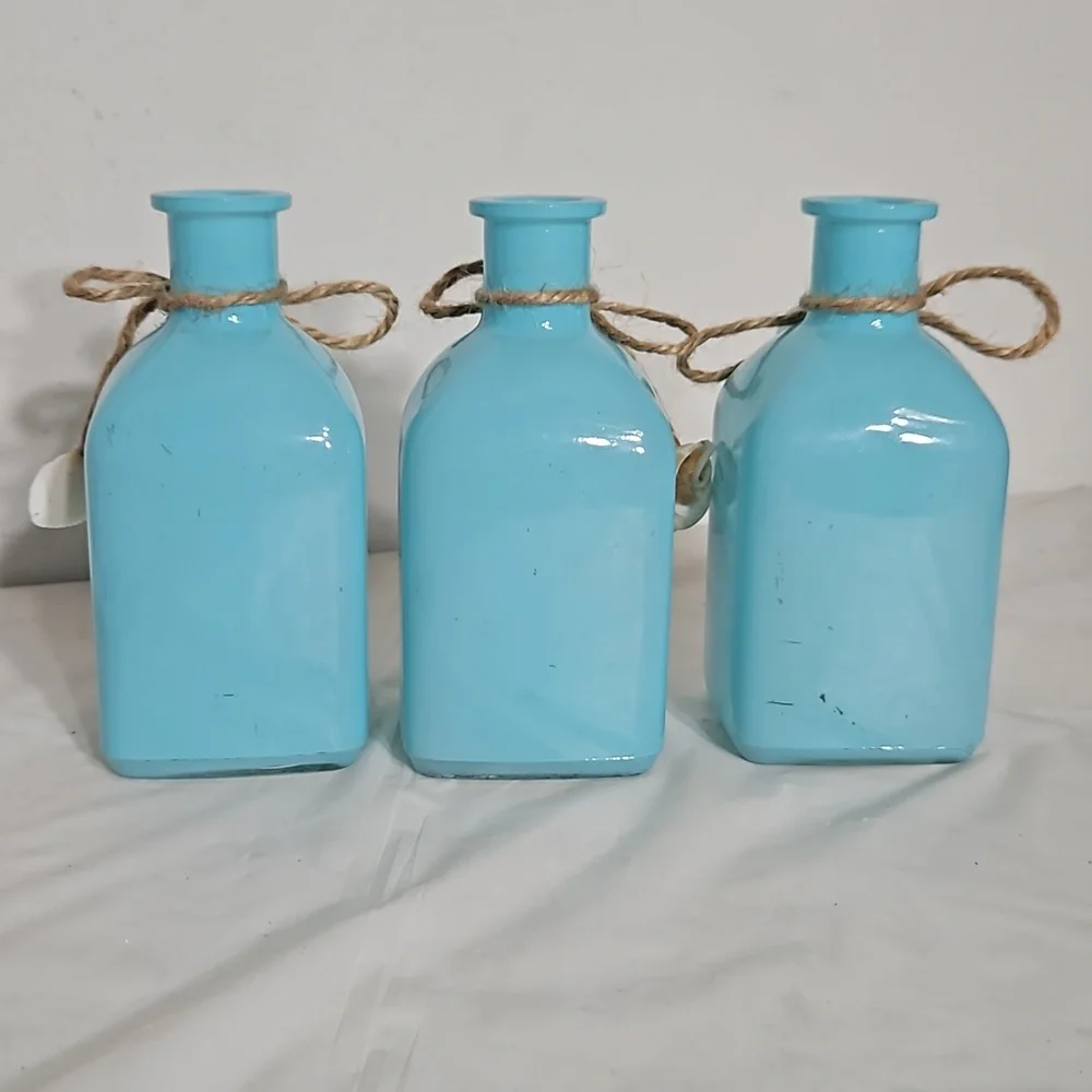 Hand Painted Light Blue Natural Twine Assorted Sea Shells Glass Jars - Picture 2 of 6